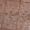 Massage Shower Setting