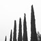 More Bars in More Places, Pulgas Water Temple, Woodside, CA