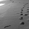 Footprints, Davenport, CA
