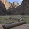 Temple of Sinawava, Zion National Park, UT