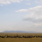 Great Migration, Masai Mara