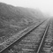Foggy Railroad, Davenport, CA