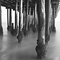 Pier Supports, Seacliff State Beach, Aptos, CA